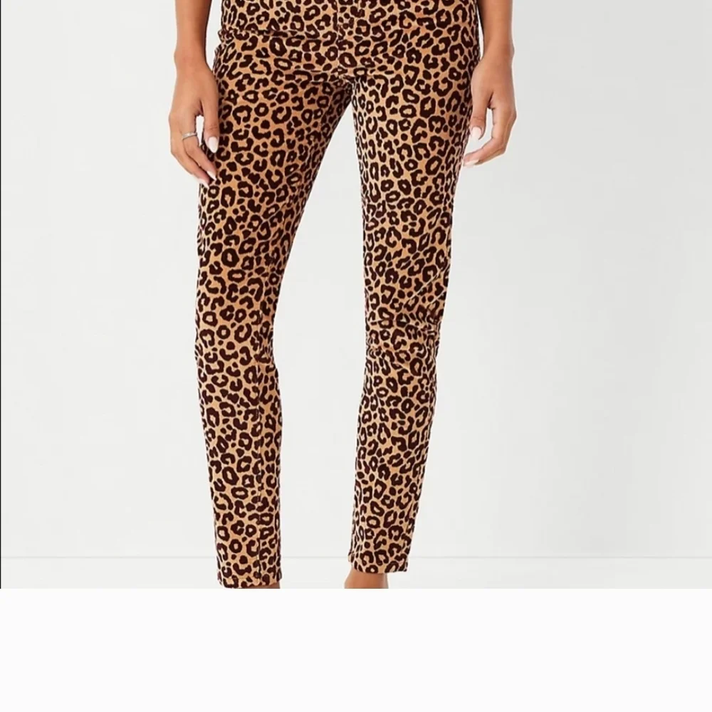 Ann Taylor Leopard Print Corduroy Skinny Pants Highest Rise NWT 2 Petite